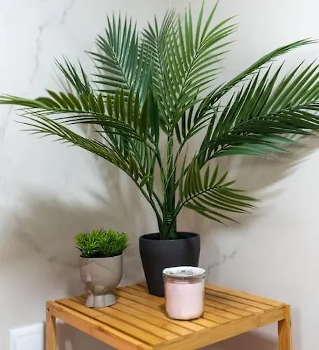 The Charm Bonfim Opo