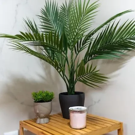 The Charm Bonfim Opo